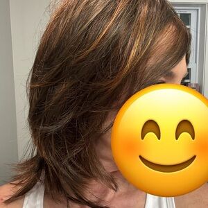 Raquel Welch Wig - Encore - Discontinued